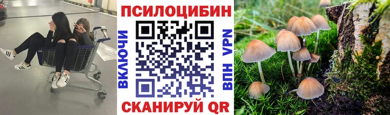 Галлюциногенные грибы GOLDEN TEACHER  даркнет сайт  Кандалакша 