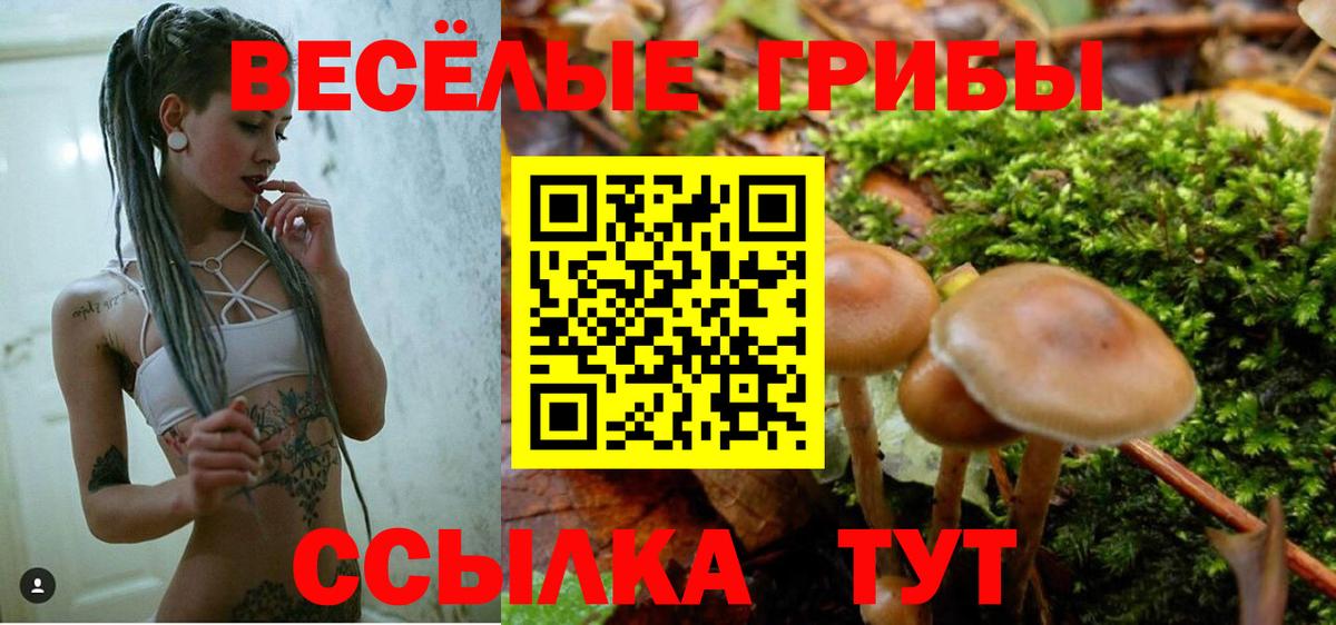 Псилоцибиновые грибы GOLDEN TEACHER  продажа наркотиков  Кандалакша  Галлюциногенные грибы мухоморы  Вход с VPN 